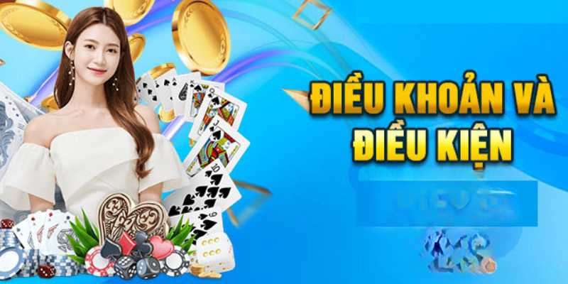 Đôi nét về Chính Sách Điều Khoản tại BET88